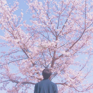 男女❌又黄❌免费怀孕在线看
